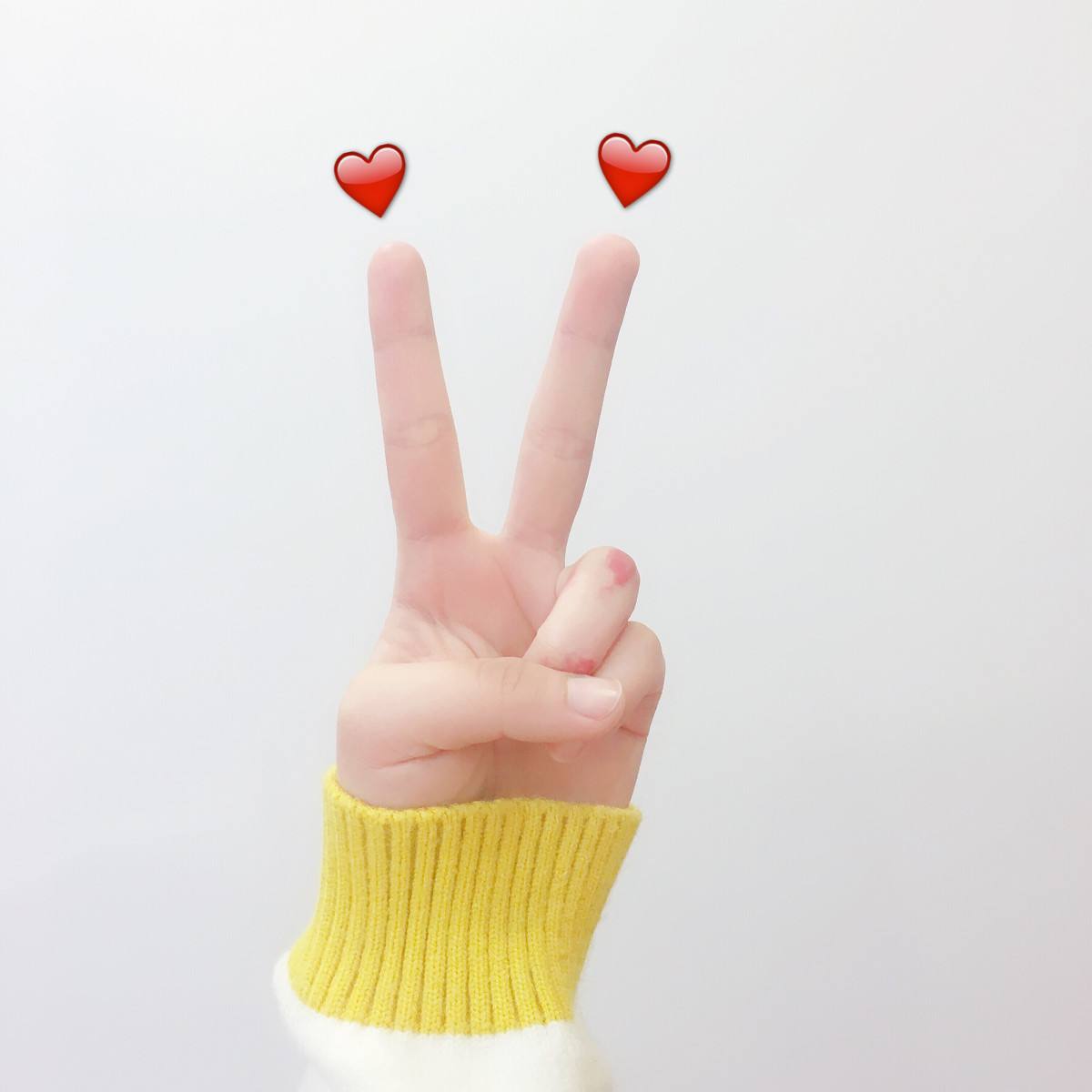 timg (6).jpg timg (6).jpg