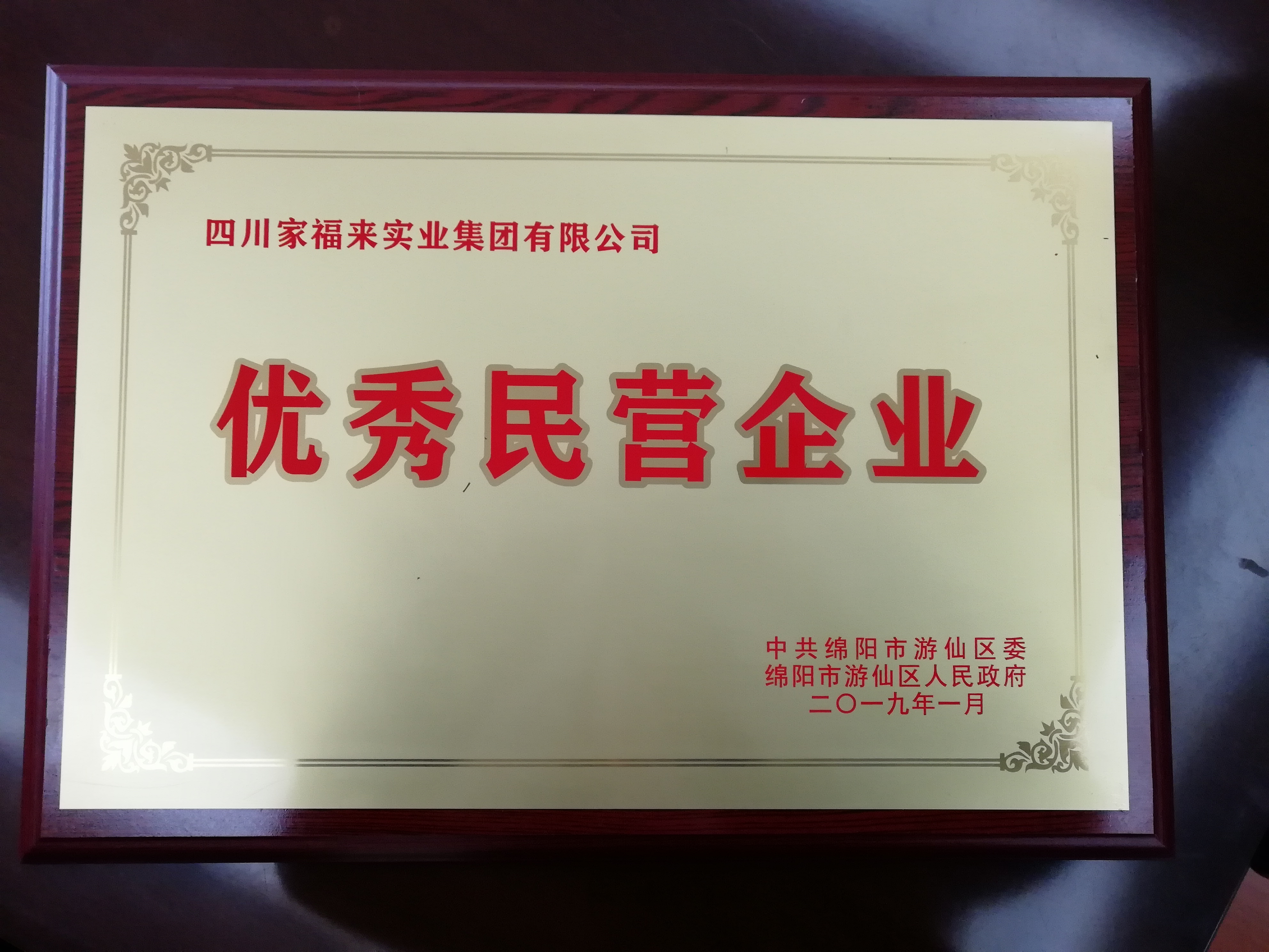 优秀民营企业